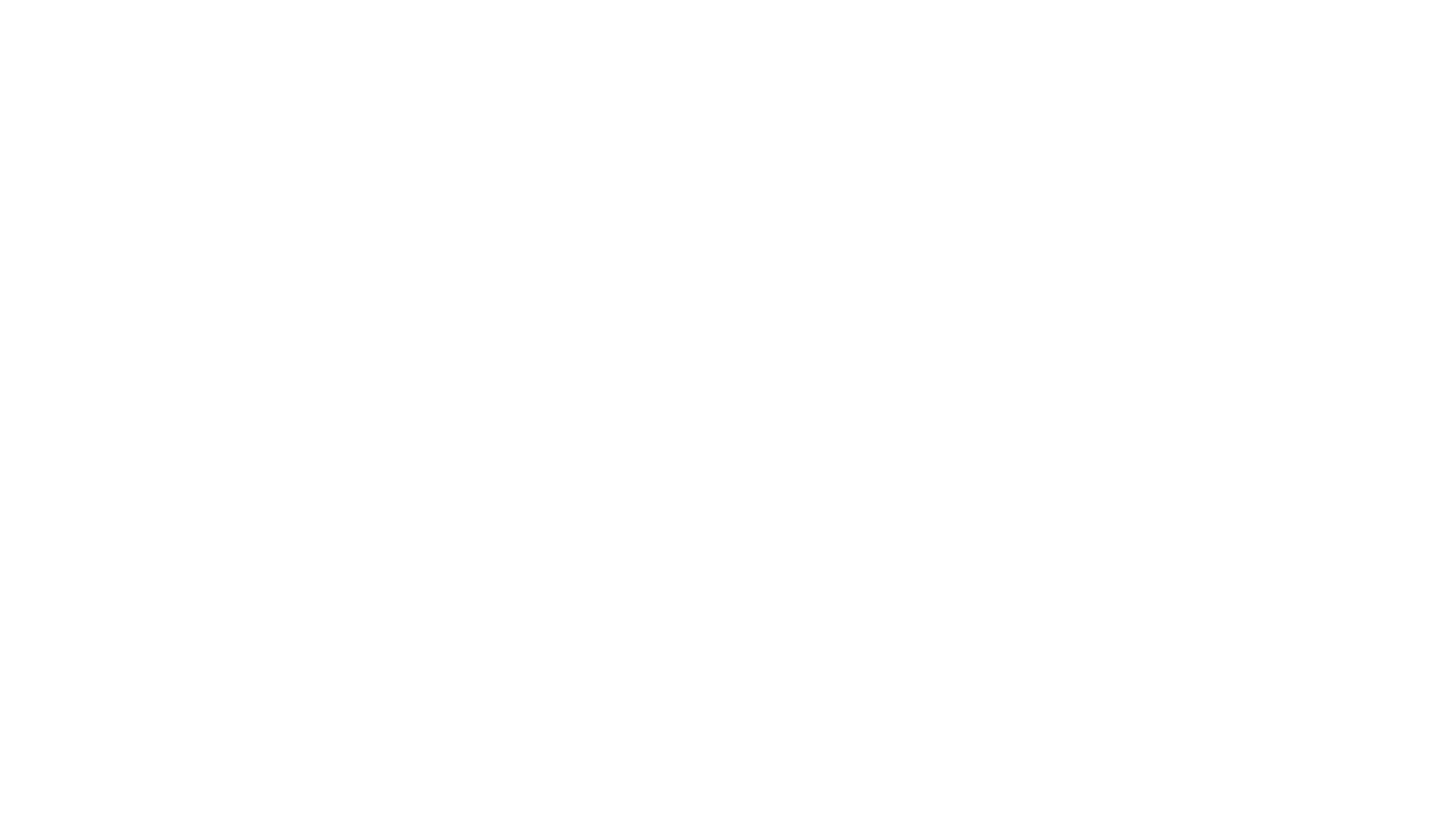 Hippo